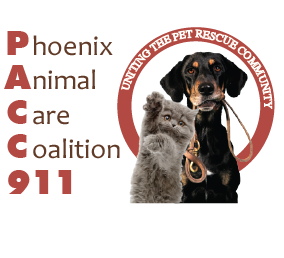 PACC 911