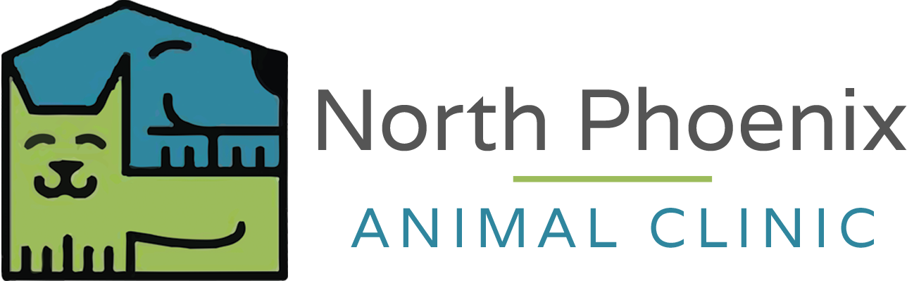North Phoenix Animal Clinic