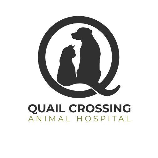 QC Animal Hospital